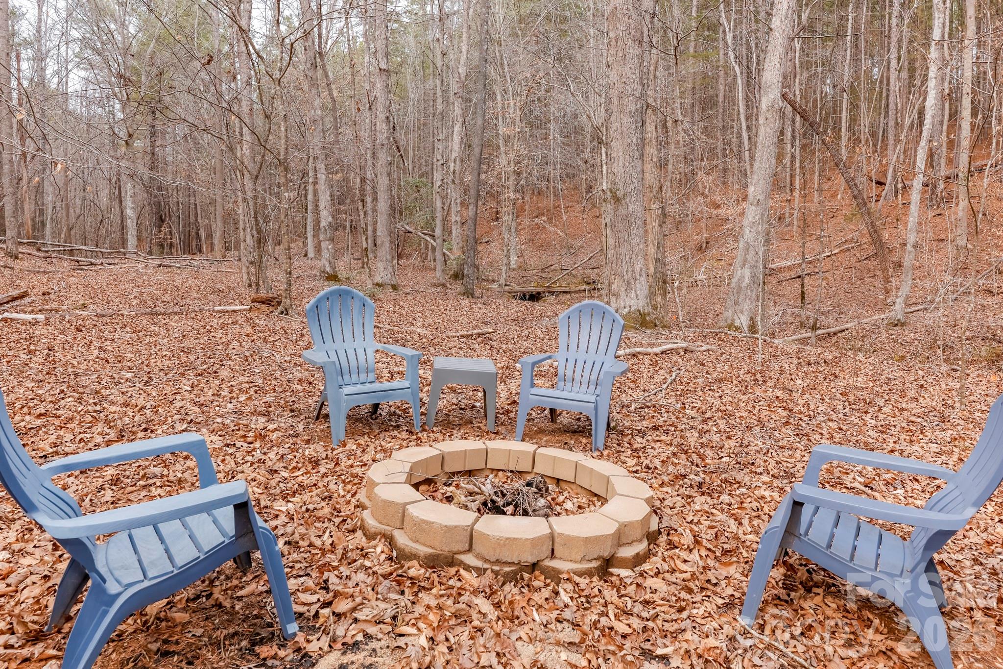 203 Burnt Chimney Lane — Rutherfordton