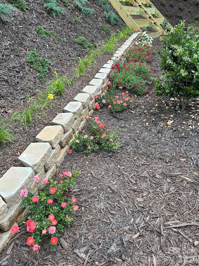 203 Burnt Chimney Lane — Rutherfordton