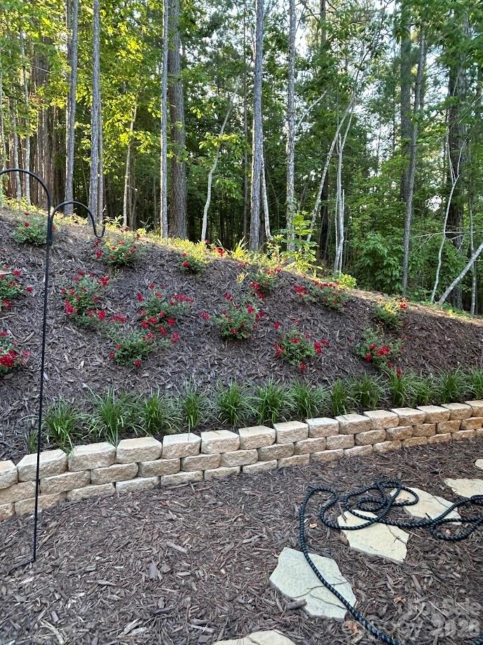 203 Burnt Chimney Lane — Rutherfordton