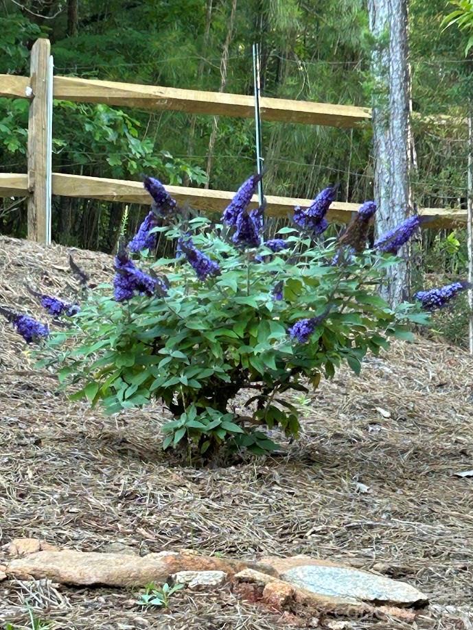 203 Burnt Chimney Lane — Rutherfordton