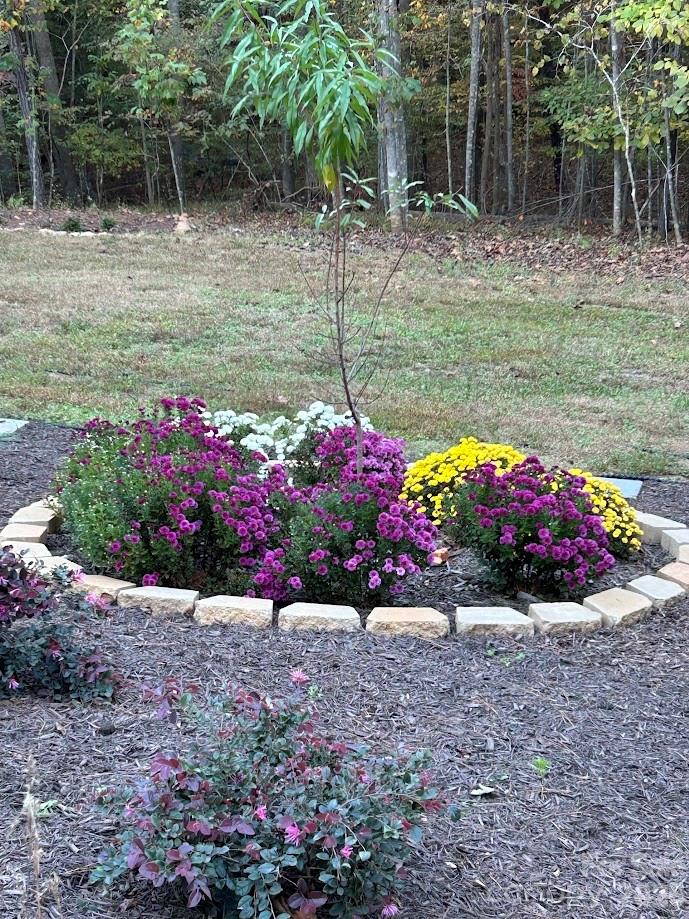 203 Burnt Chimney Lane — Rutherfordton