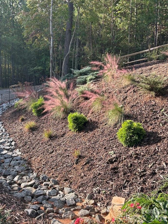 203 Burnt Chimney Lane — Rutherfordton