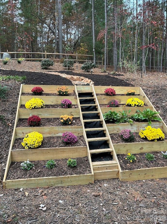 203 Burnt Chimney Lane — Rutherfordton