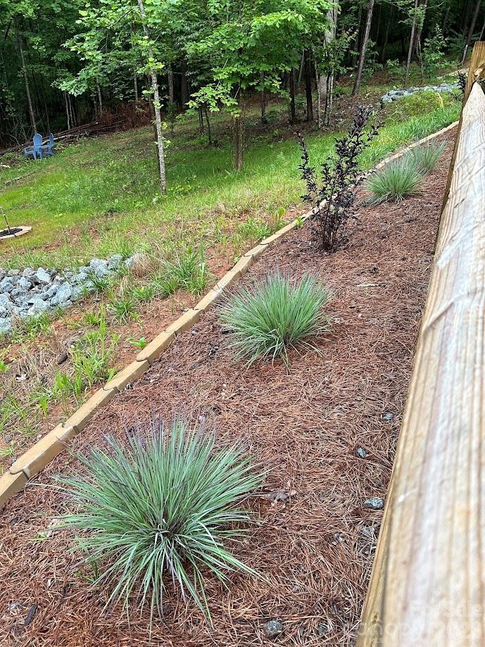 203 Burnt Chimney Lane — Rutherfordton
