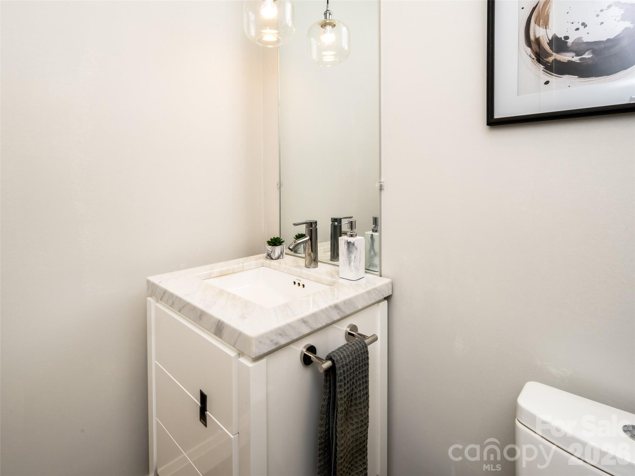 1002 Coves Pheasant Court — Biltmore Lake