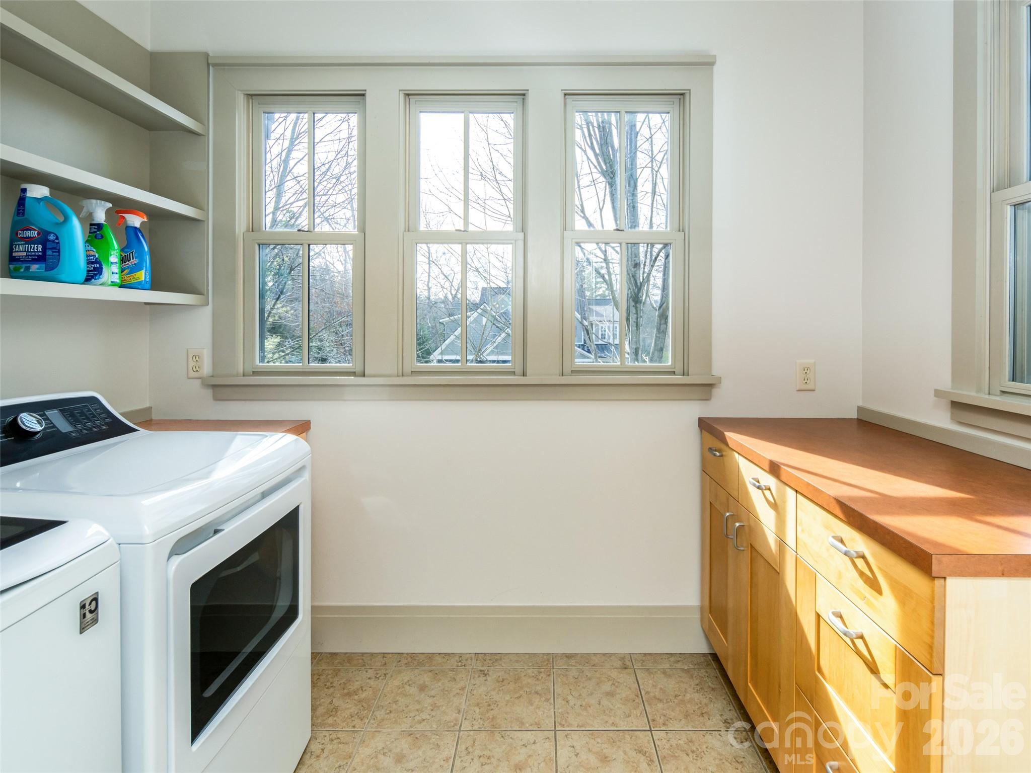 1002 Coves Pheasant Court — Biltmore Lake