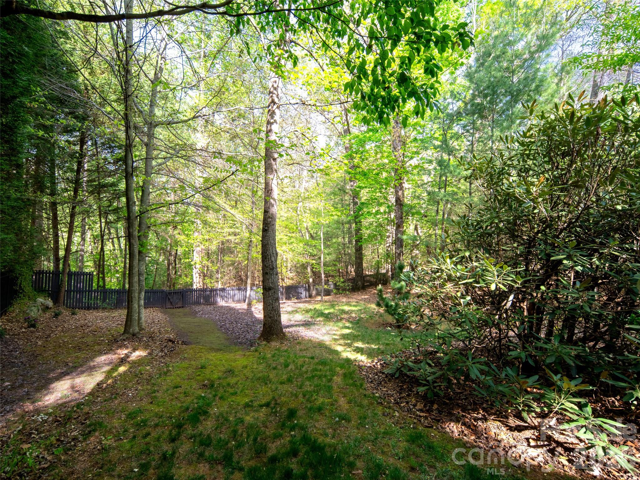 1002 Coves Pheasant Court — Biltmore Lake
