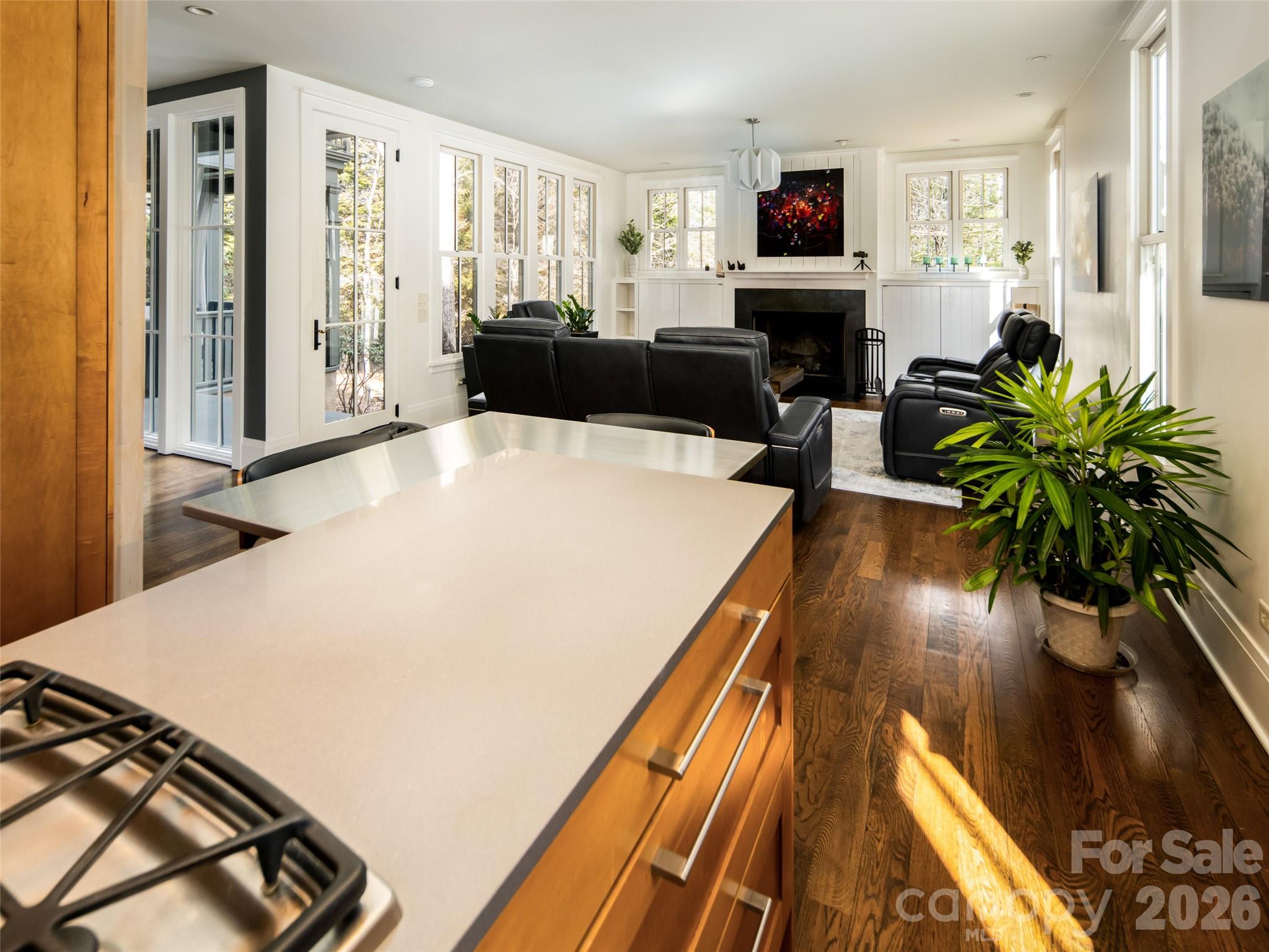 1002 Coves Pheasant Court — Biltmore Lake