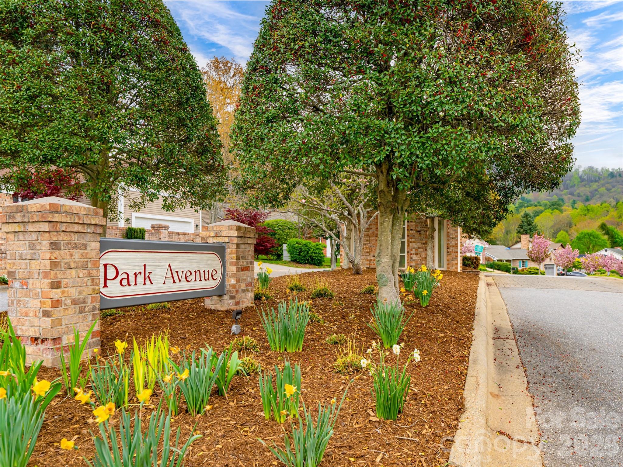 50 Park Avenue — Asheville