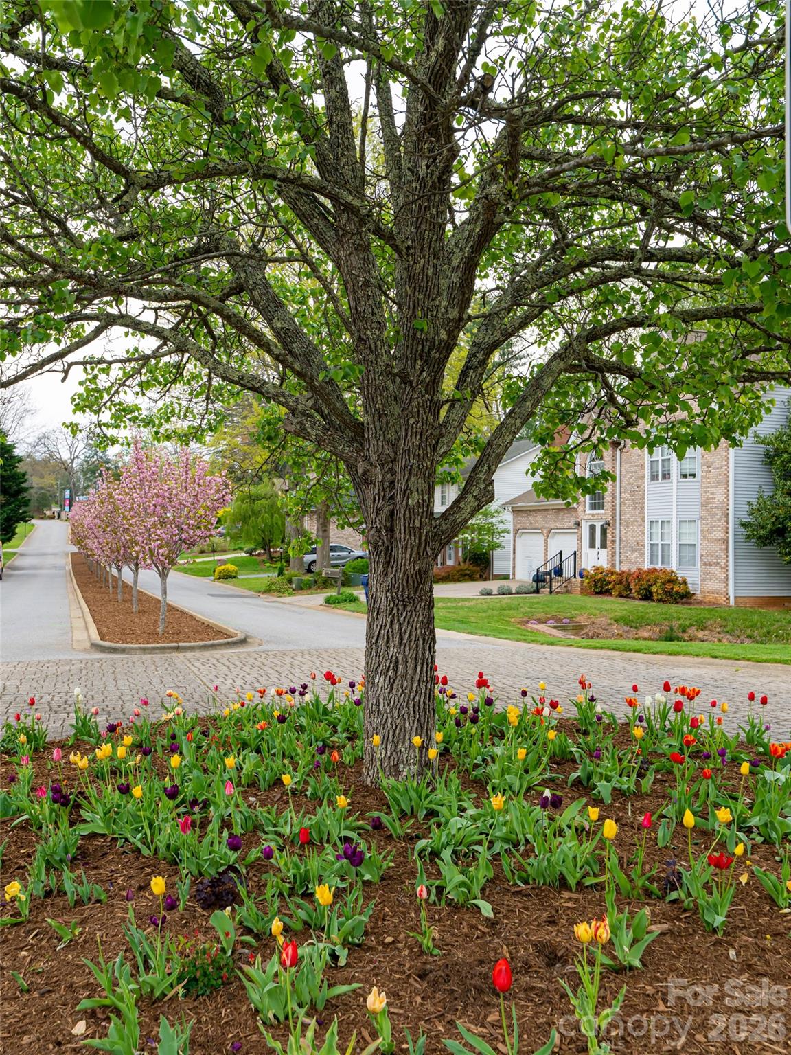 50 Park Avenue — Asheville