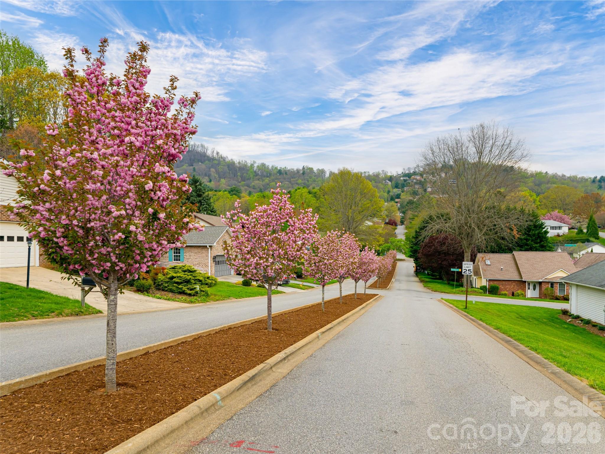 50 Park Avenue — Asheville