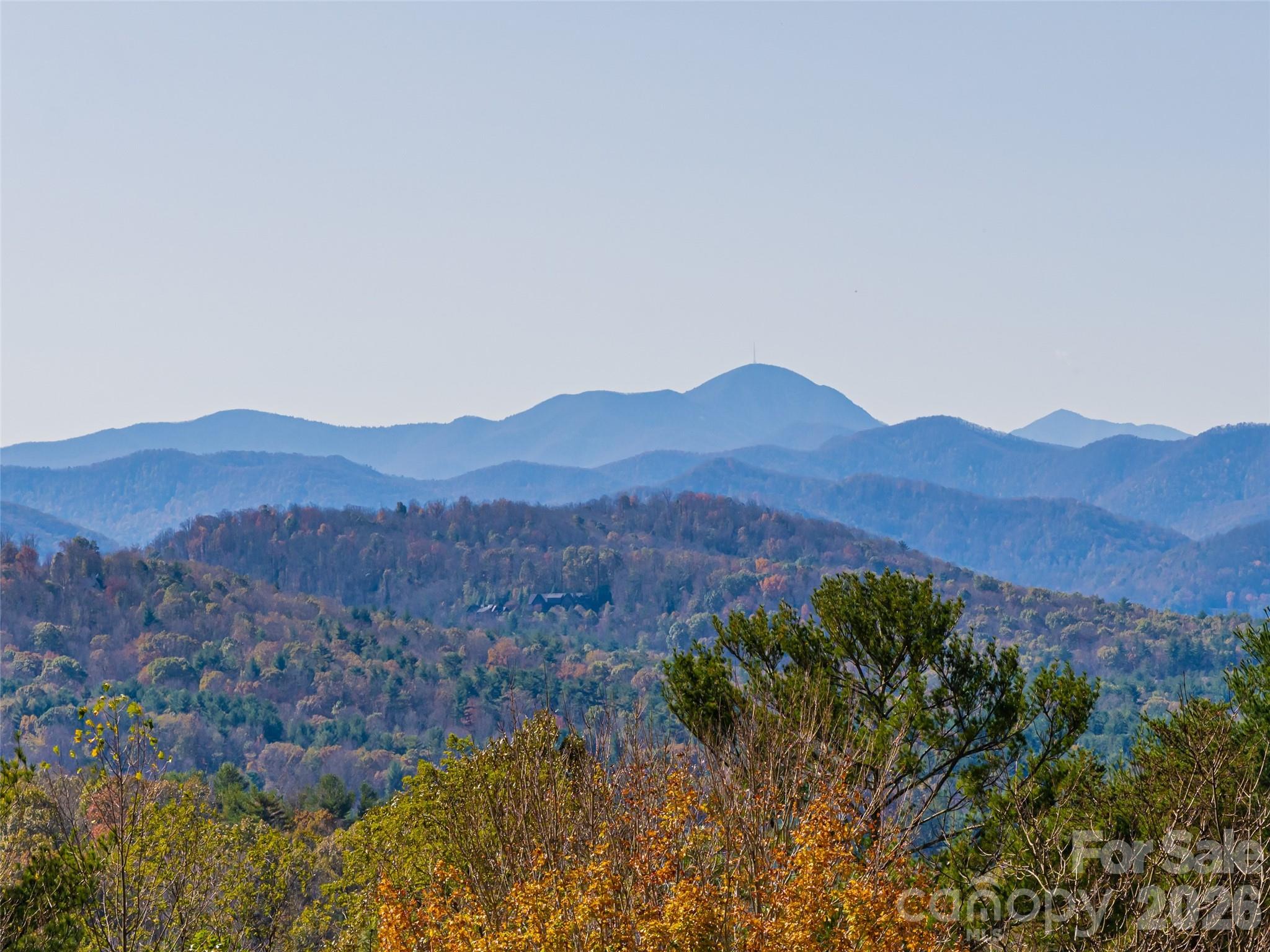 50 Park Avenue — Asheville