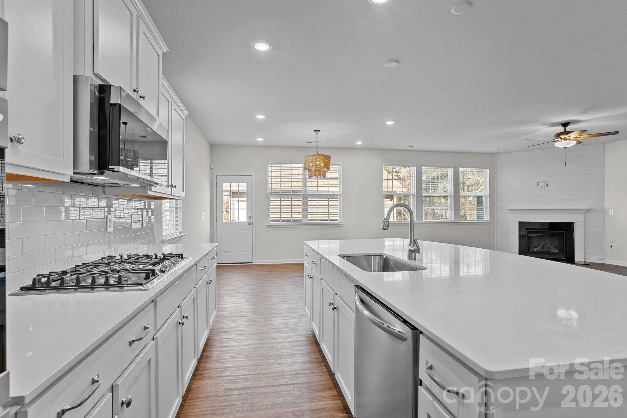 15721 White Quartz Lane — Davidson