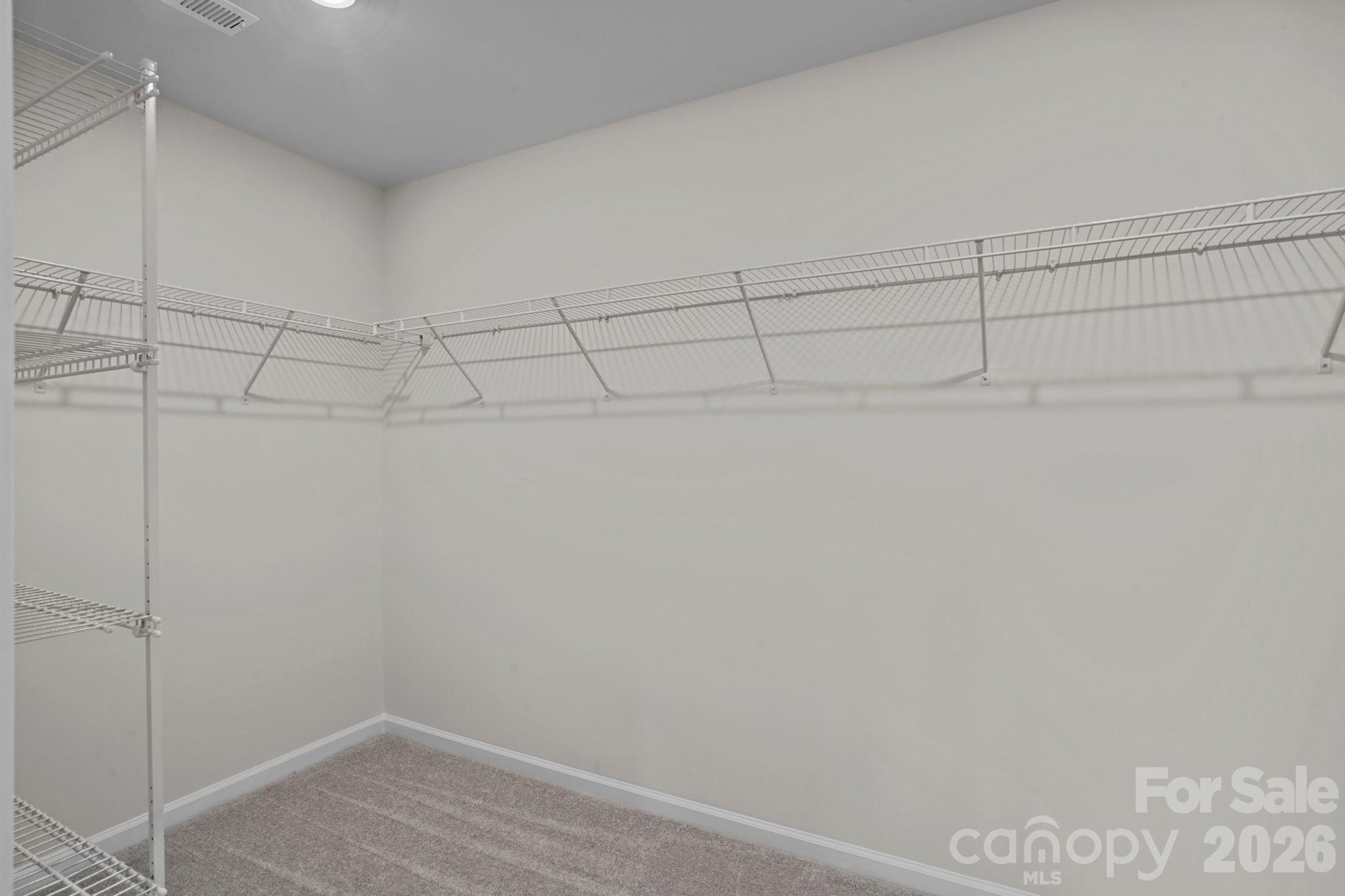 15721 White Quartz Lane — Davidson