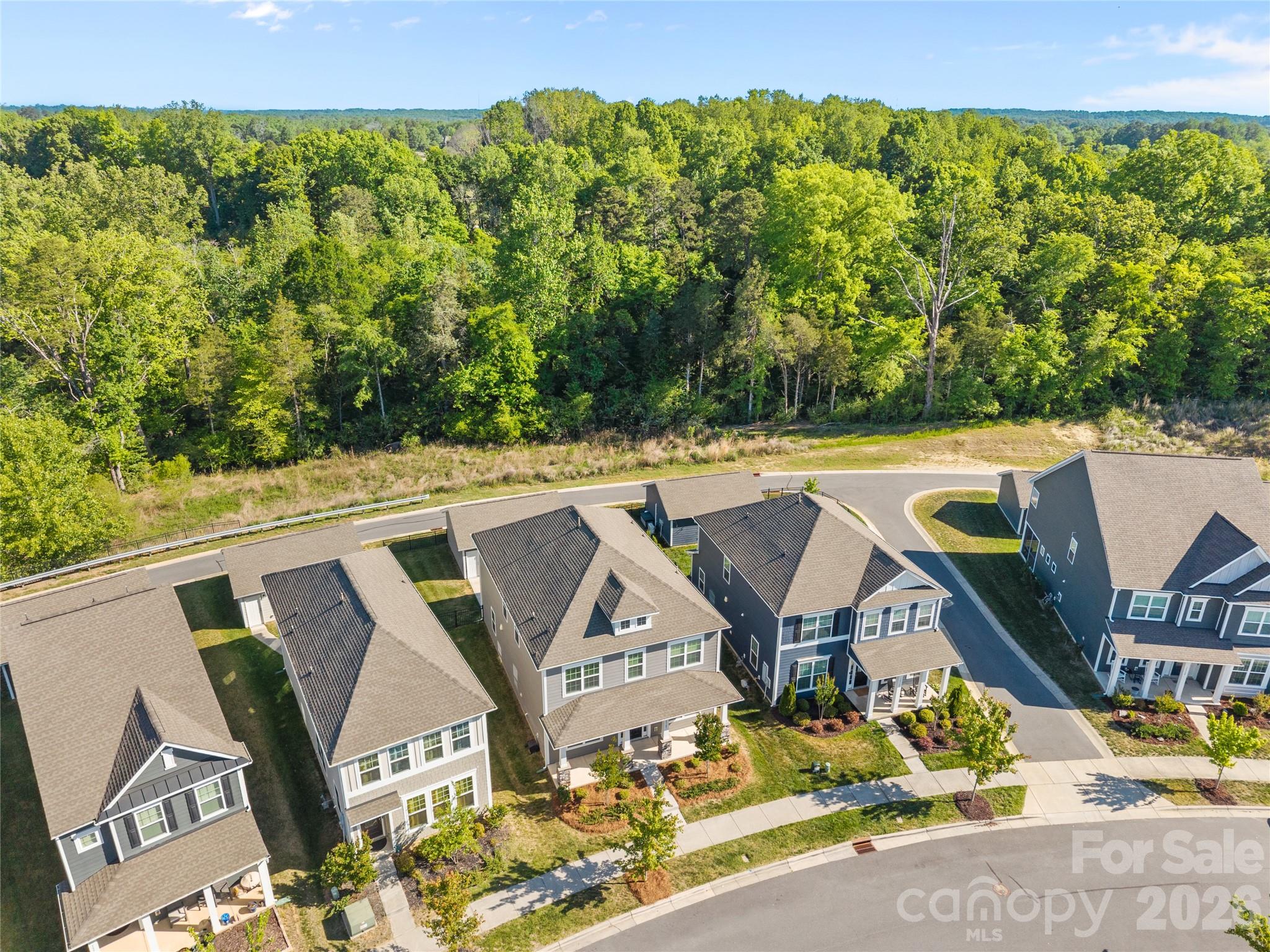 15721 White Quartz Lane — Davidson