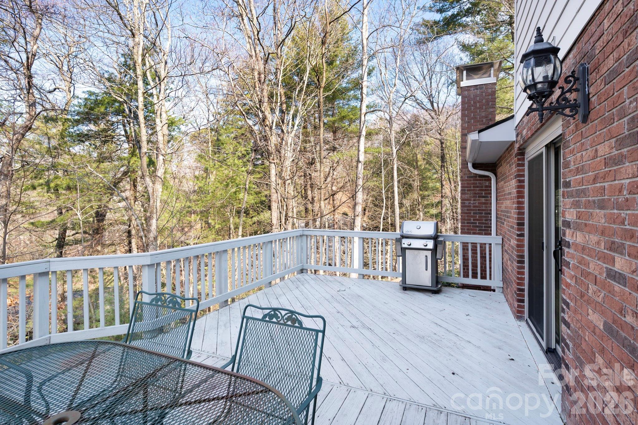 107 Ballantree Drive — Asheville