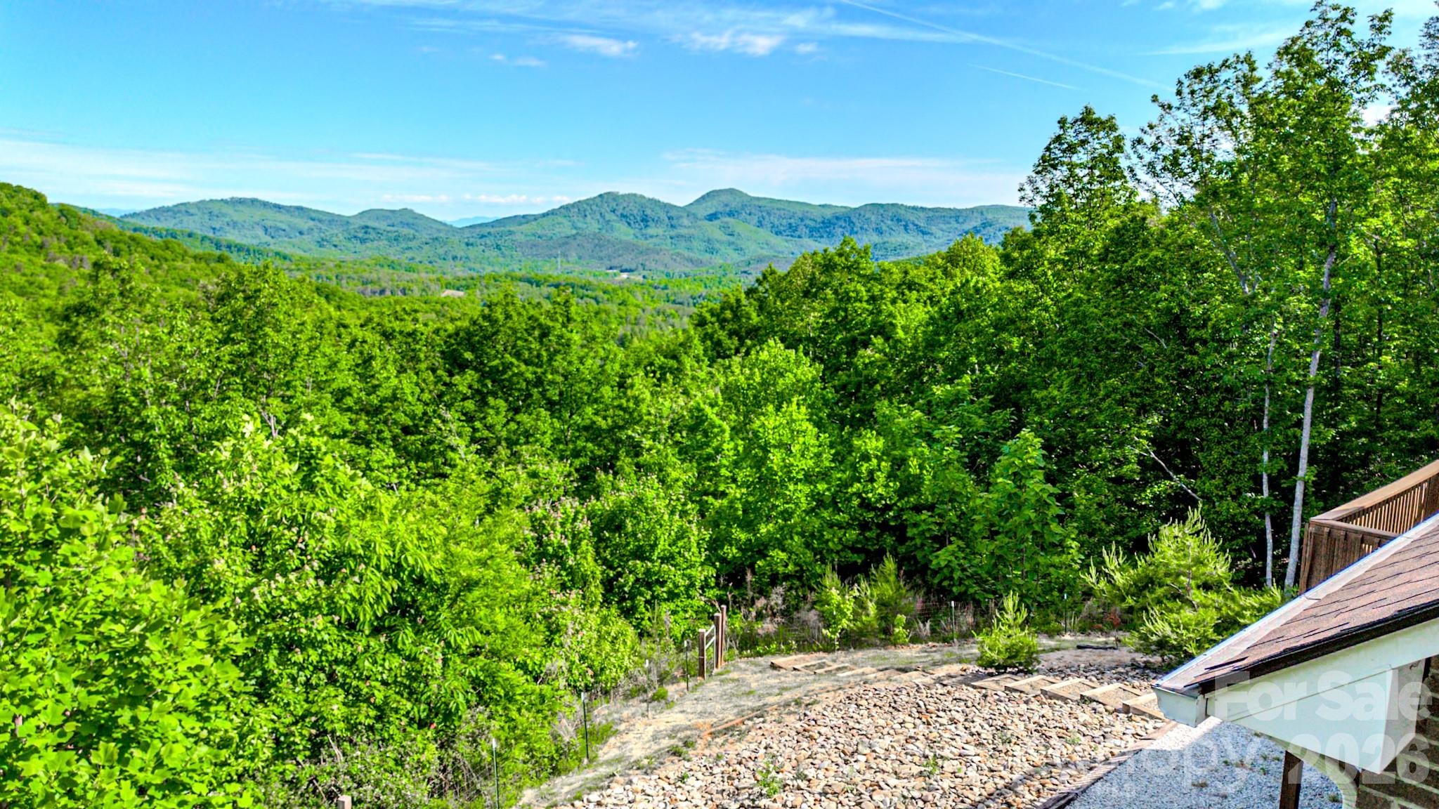 485 Mountain Lookout Drive — Bostic