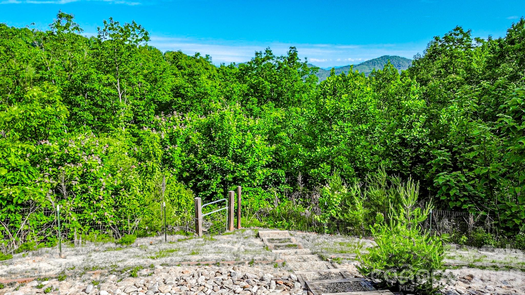 485 Mountain Lookout Drive — Bostic