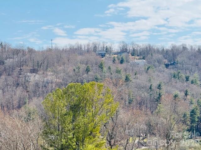 121 Burning Tree Lane #121 — Flat Rock