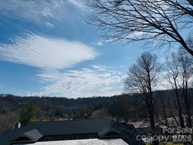 121 Burning Tree Lane #121 — Flat Rock
