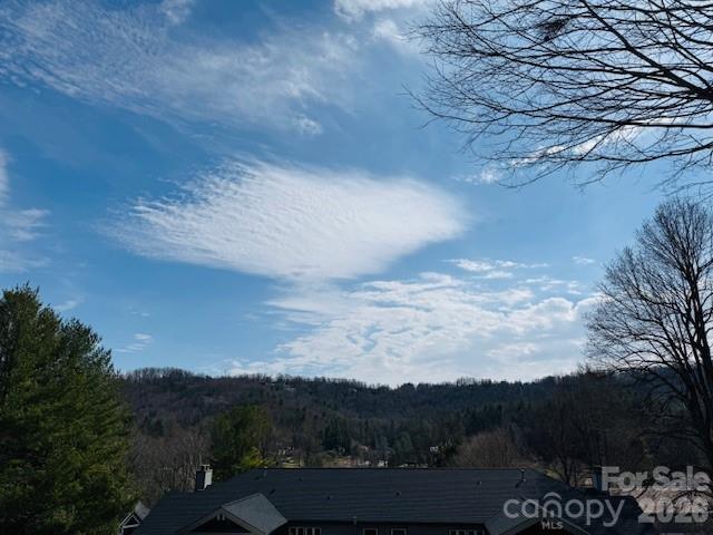 121 Burning Tree Lane #121 — Flat Rock