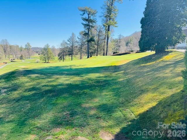121 Burning Tree Lane #121 — Flat Rock