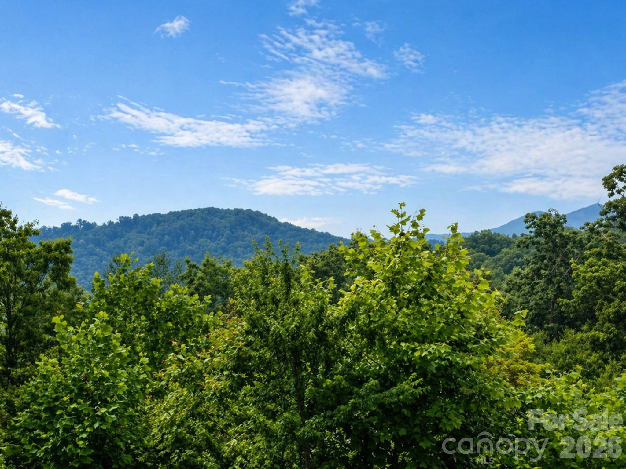 73 Dalya Road — Swannanoa