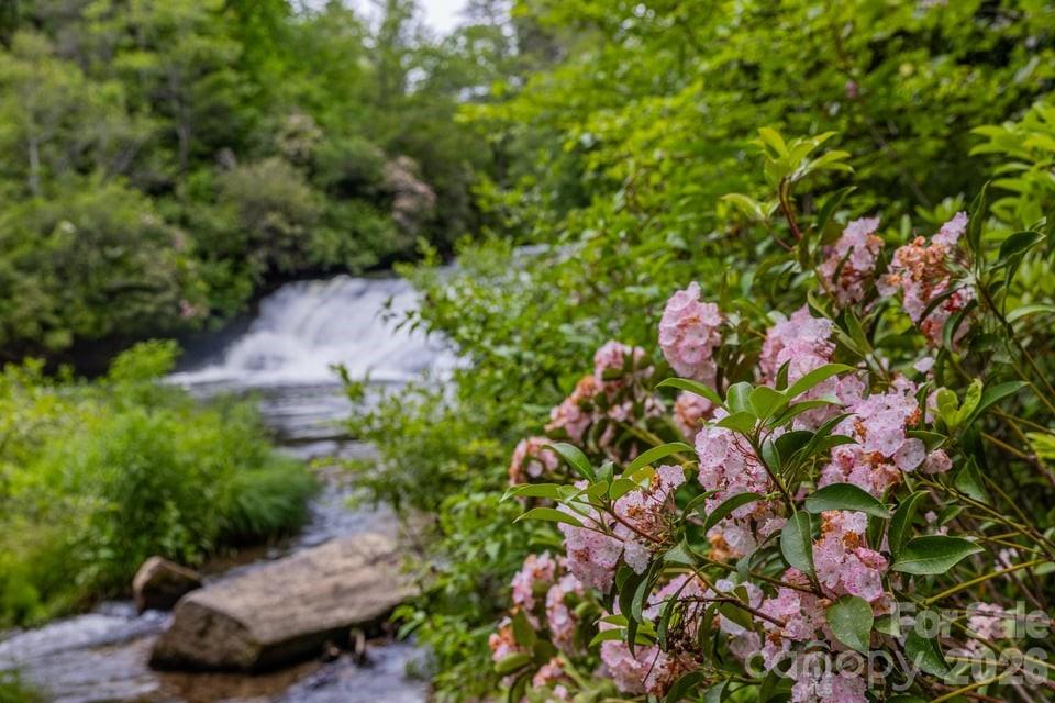 940 Winding Creek Road — Sapphire