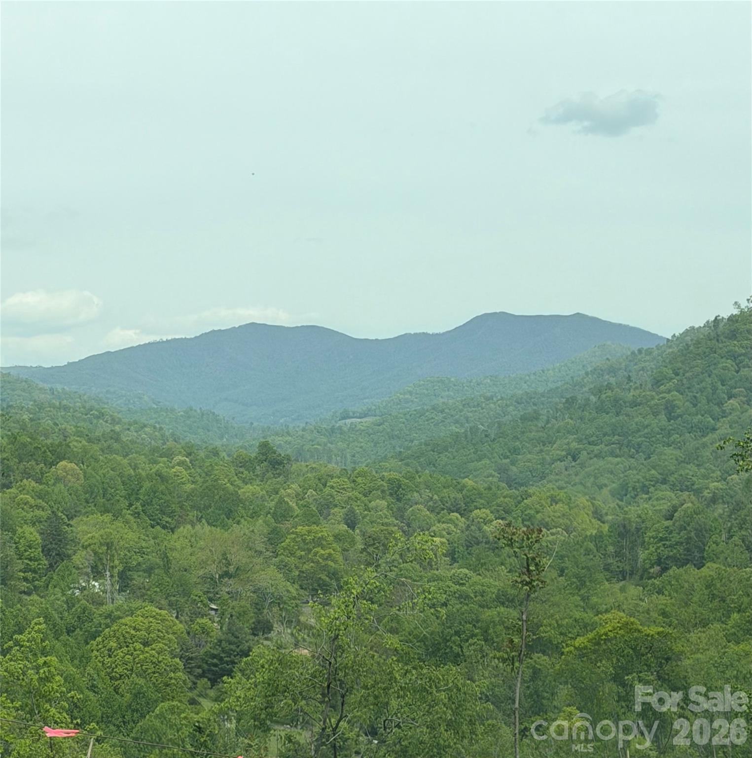 1306 Fork Mountain Road — Bakersville