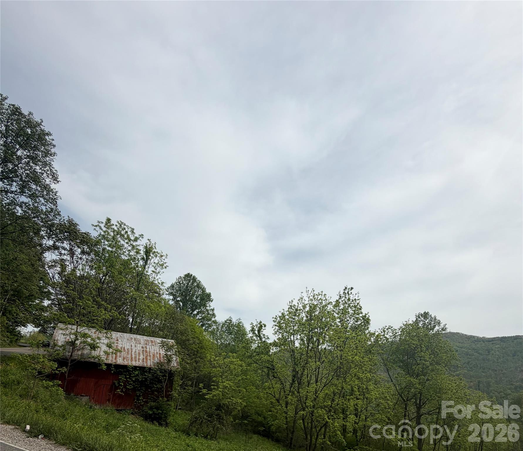 1306 Fork Mountain Road — Bakersville