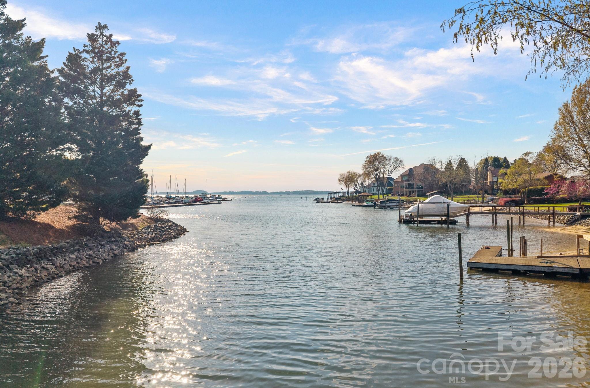 18726 Bluff Point Road — Cornelius