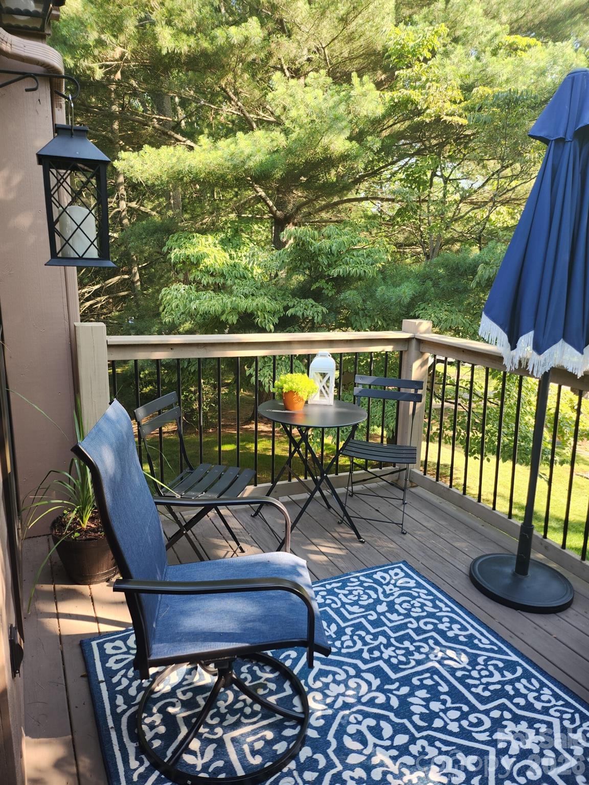 36 Ravencroft Lane — Asheville