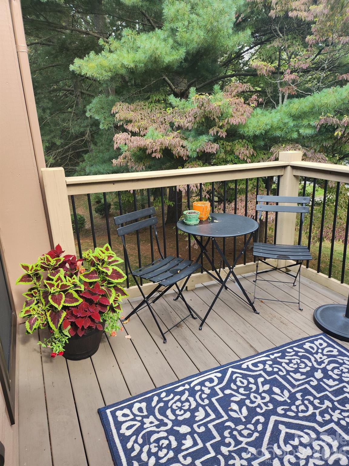 36 Ravencroft Lane — Asheville
