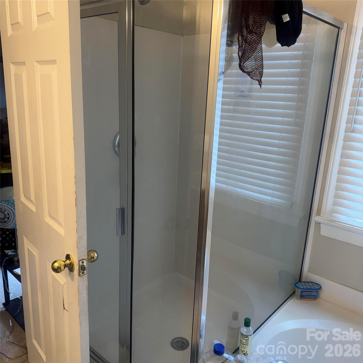 8010 Painted Pony Court — Charlotte