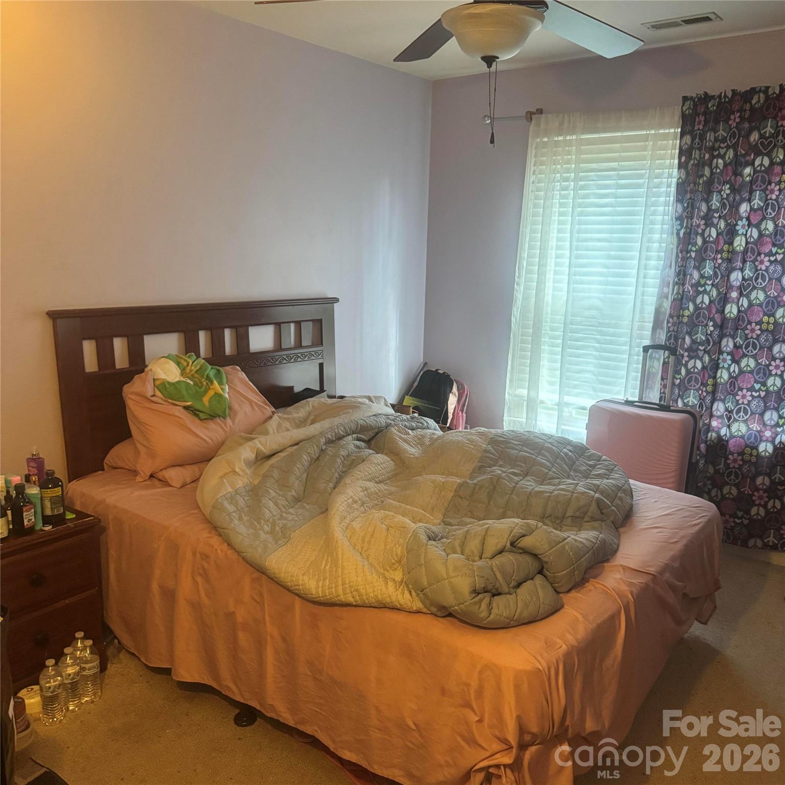 8010 Painted Pony Court — Charlotte