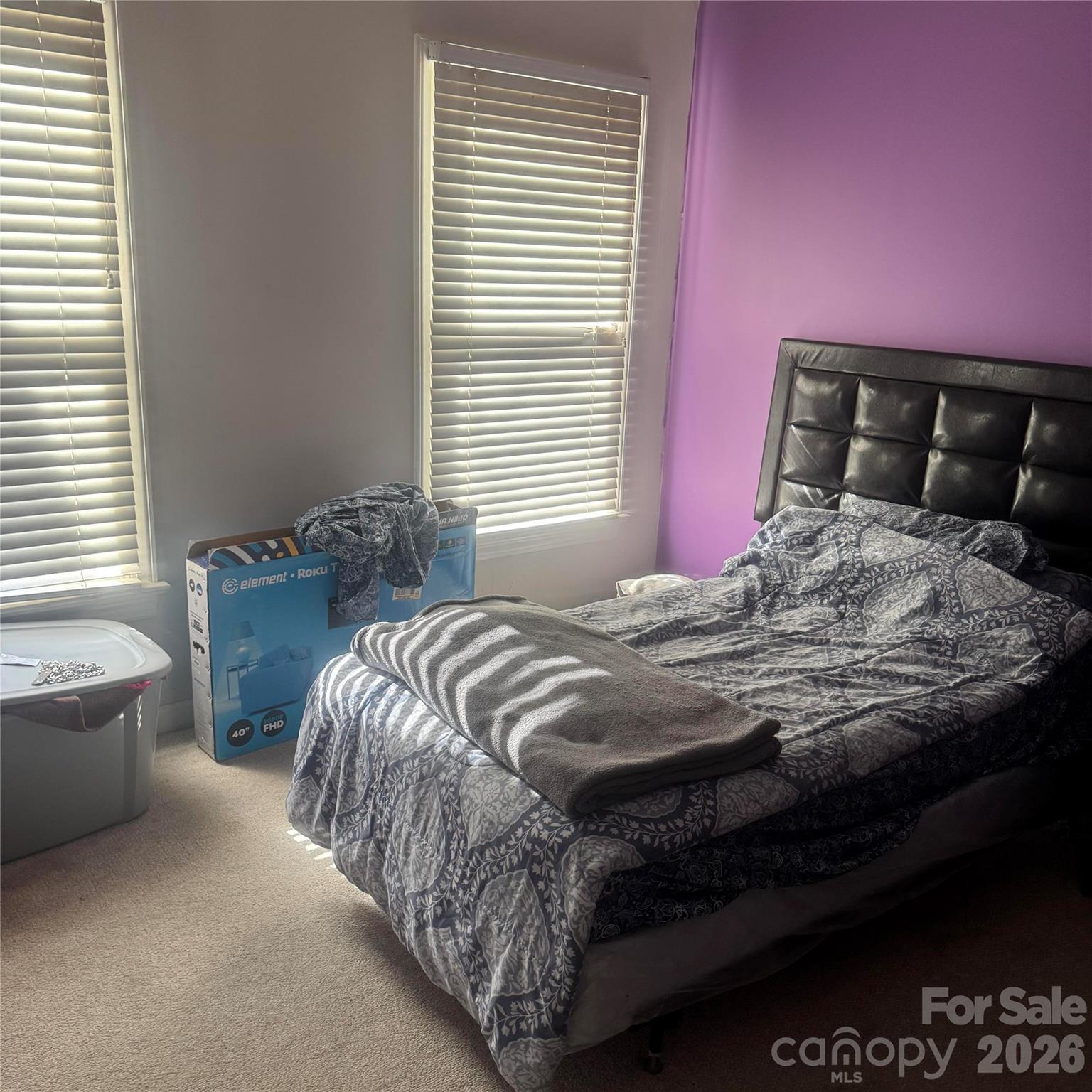 8010 Painted Pony Court — Charlotte