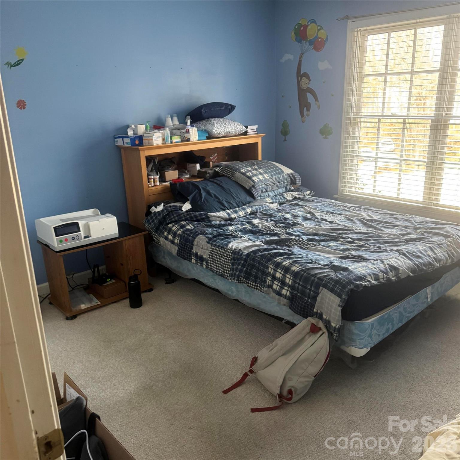 8010 Painted Pony Court — Charlotte