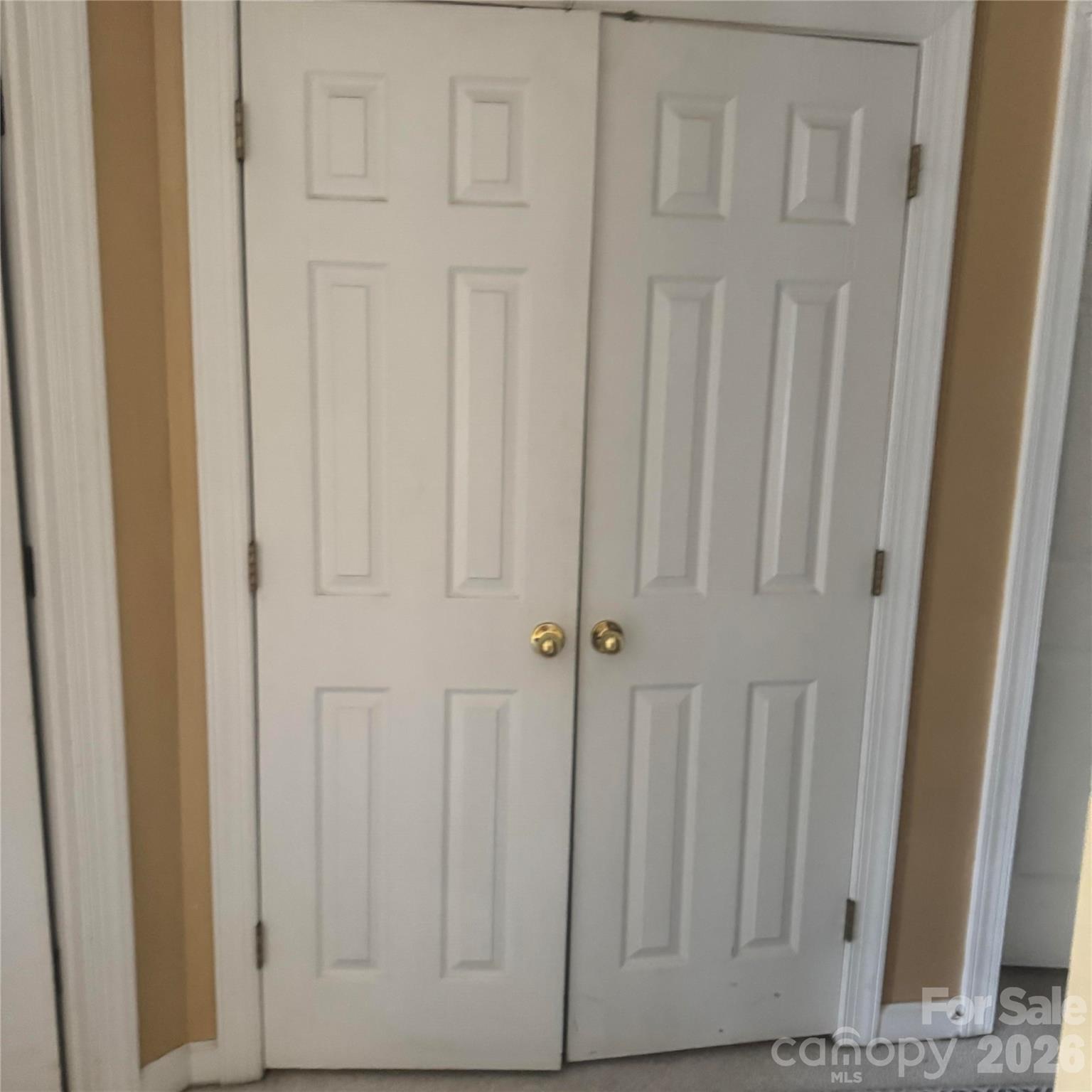 8010 Painted Pony Court — Charlotte