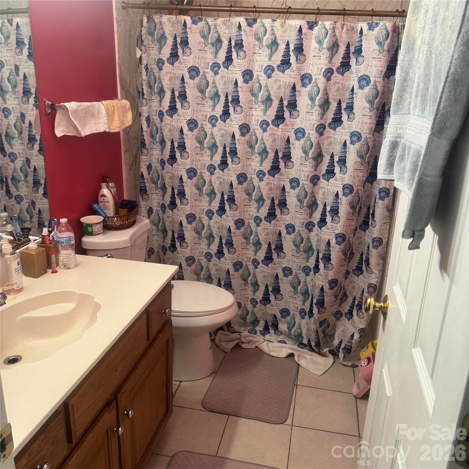 8010 Painted Pony Court — Charlotte