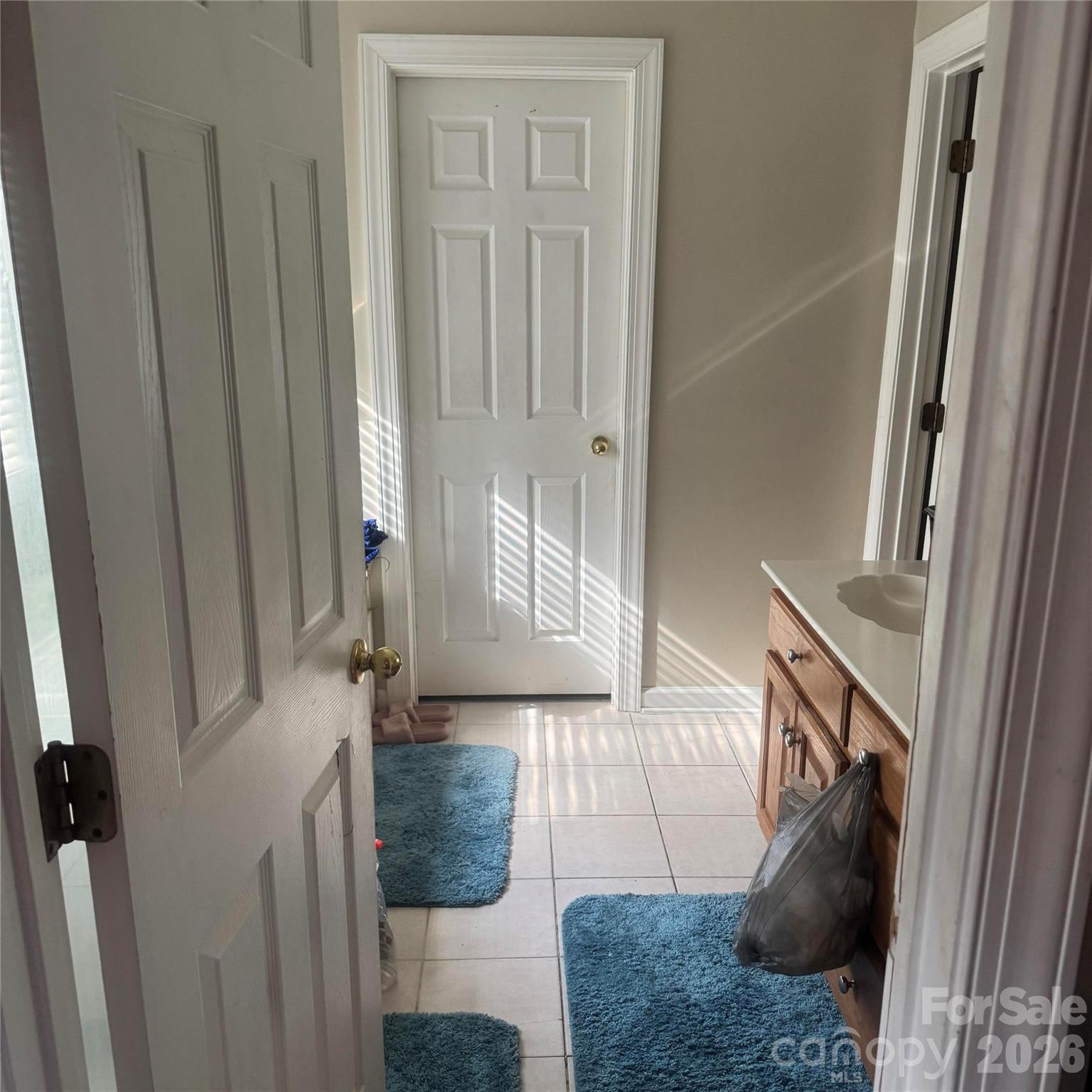 8010 Painted Pony Court — Charlotte