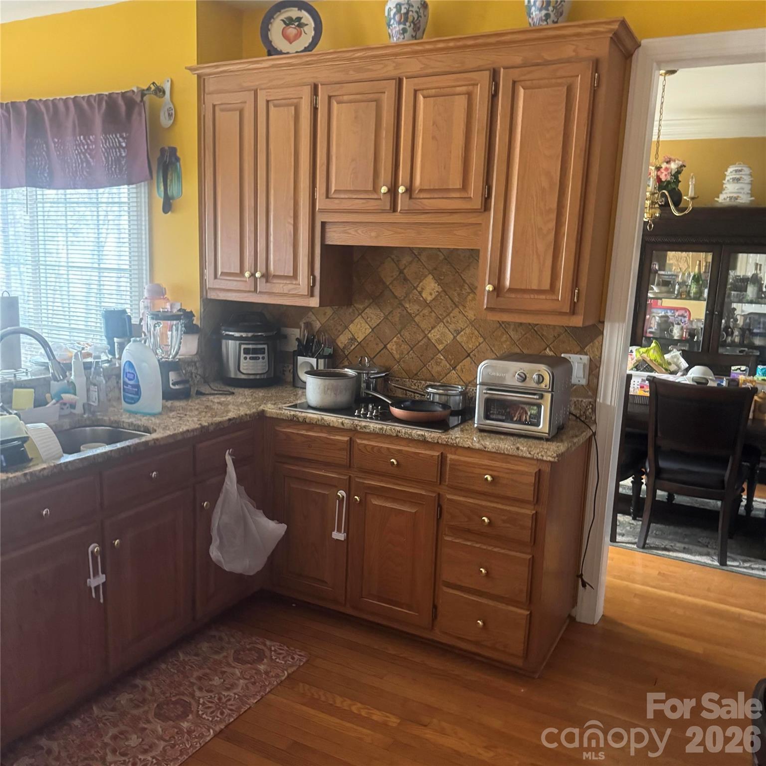8010 Painted Pony Court — Charlotte
