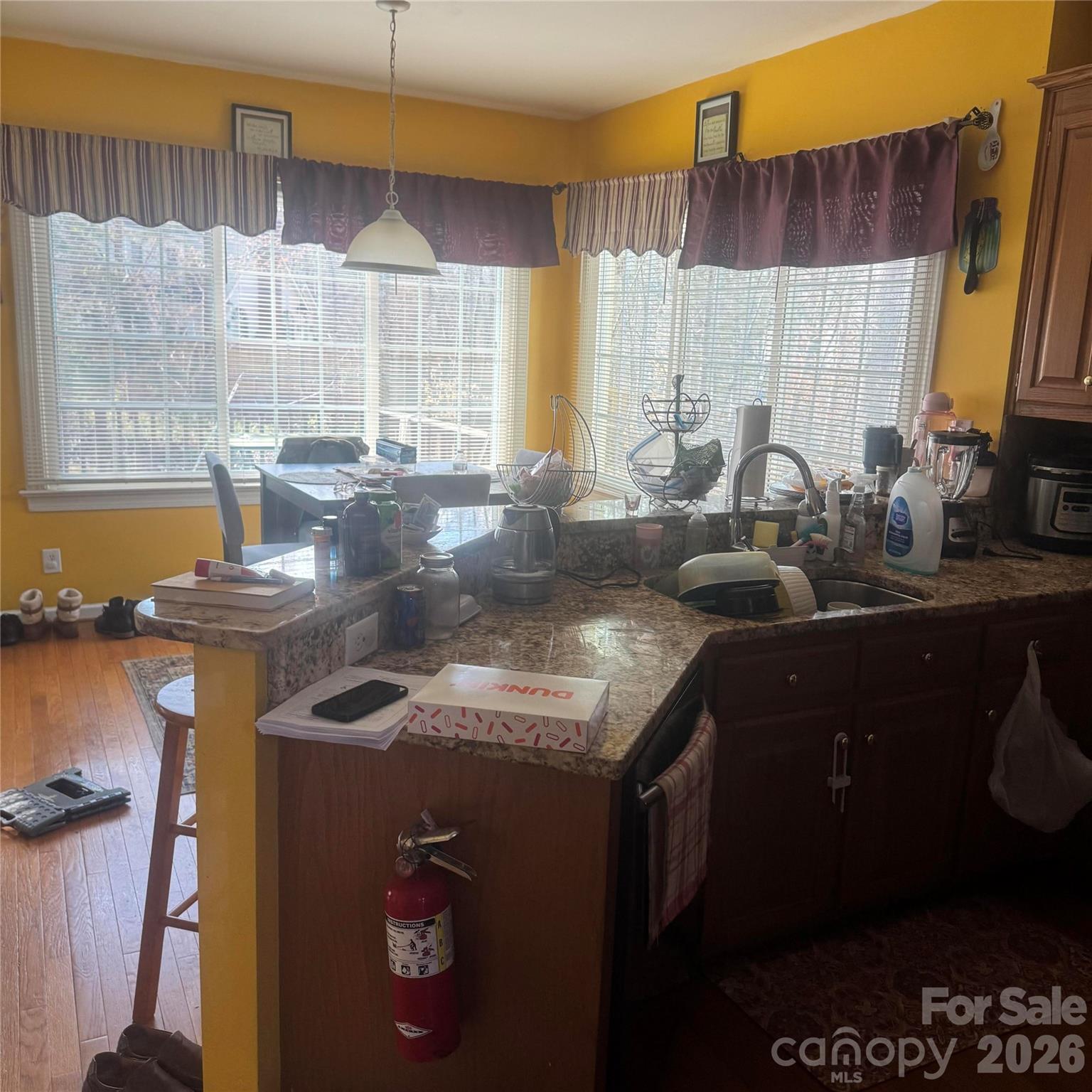 8010 Painted Pony Court — Charlotte