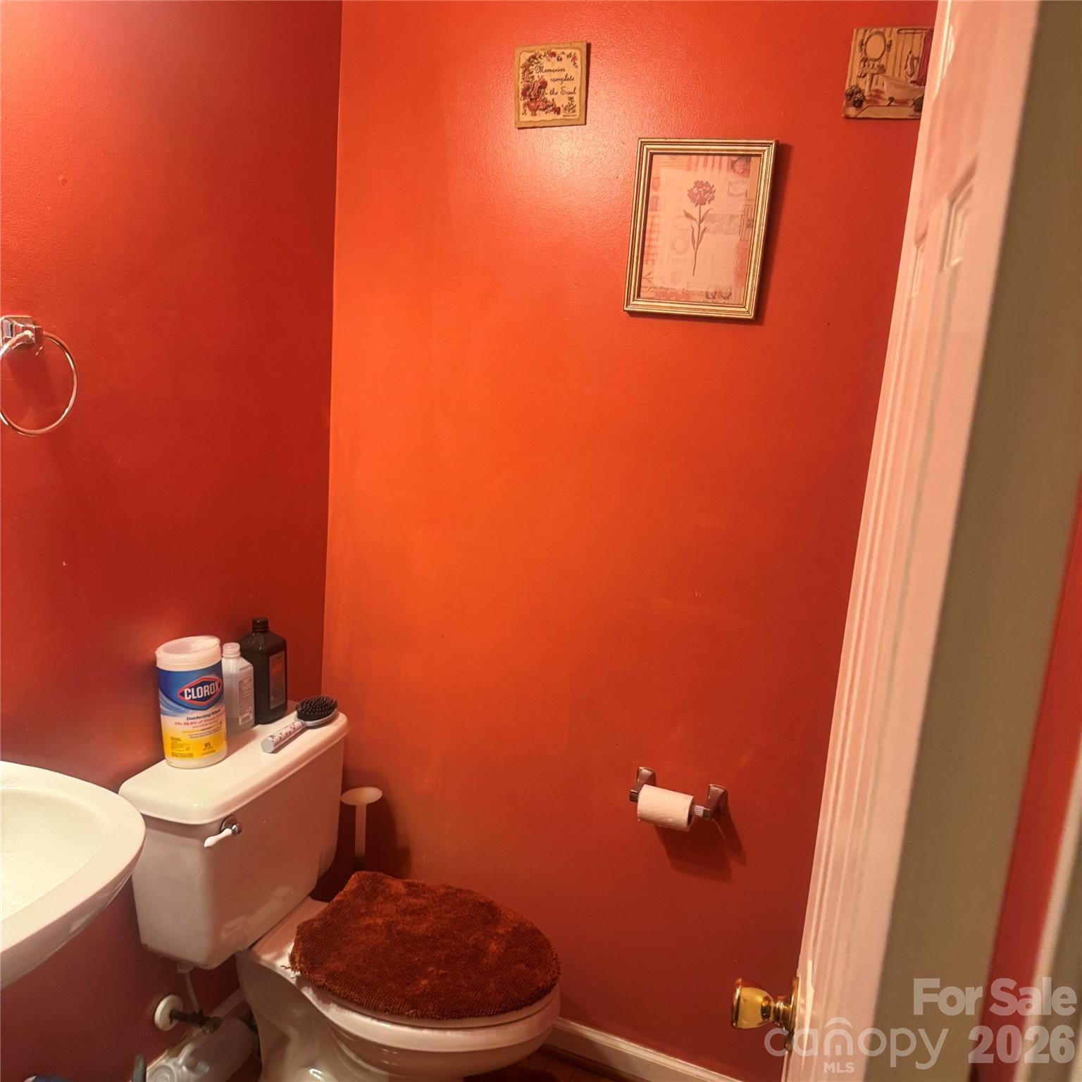 8010 Painted Pony Court — Charlotte