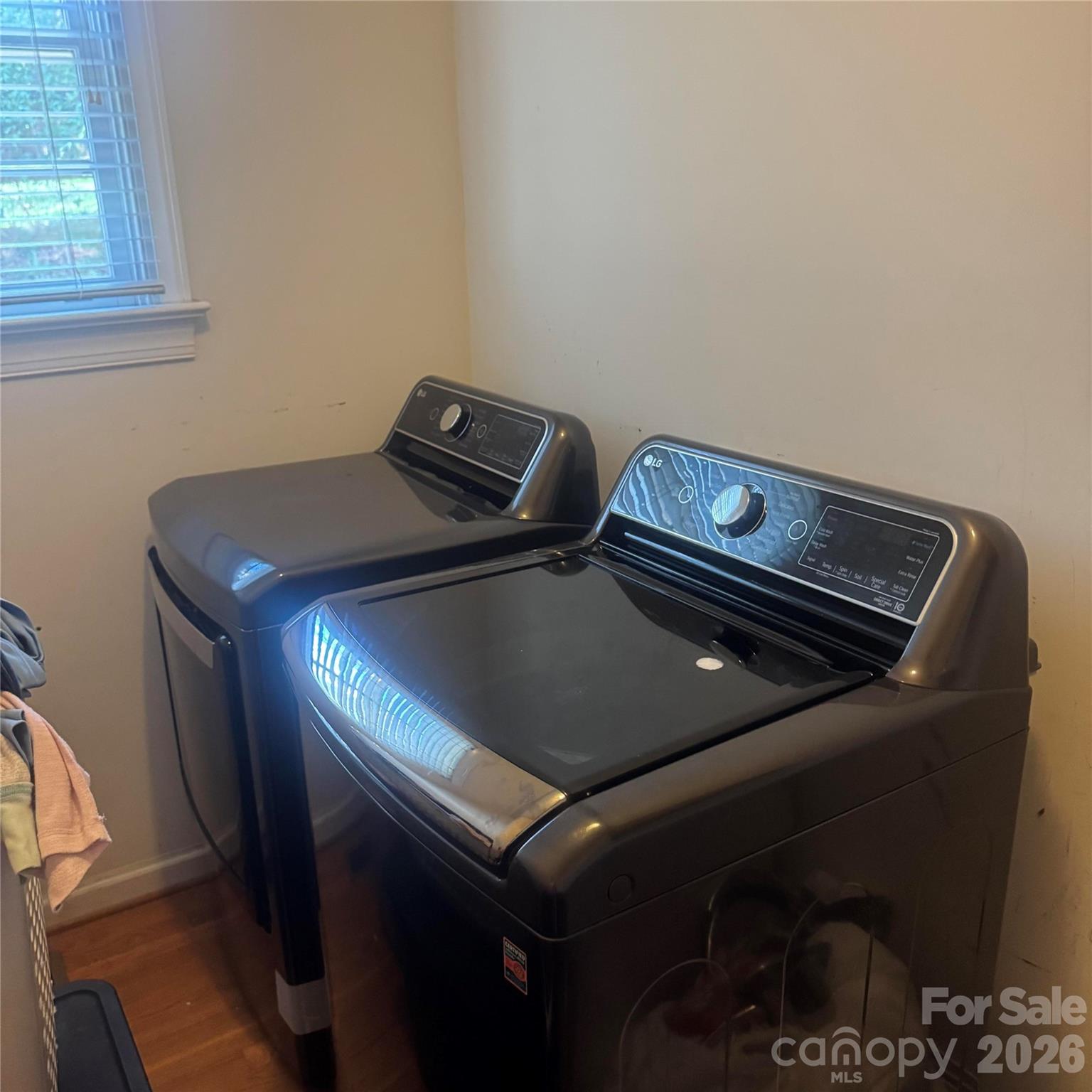 8010 Painted Pony Court — Charlotte
