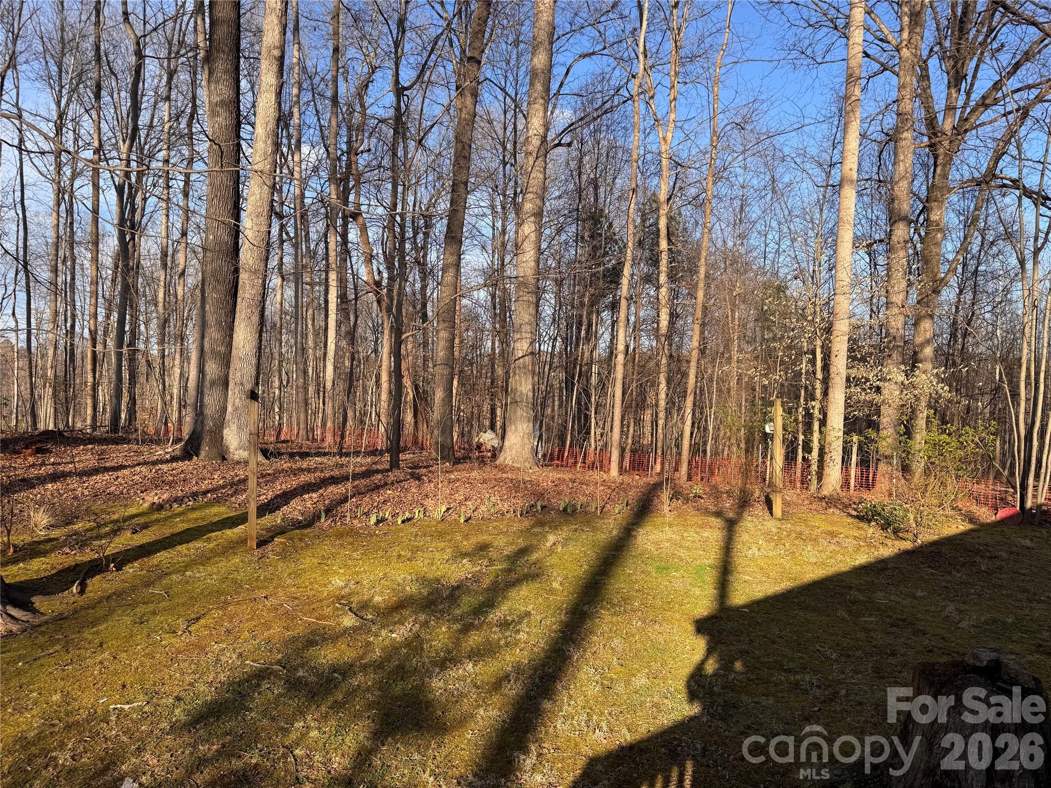 121 Shady Lane — Troutman