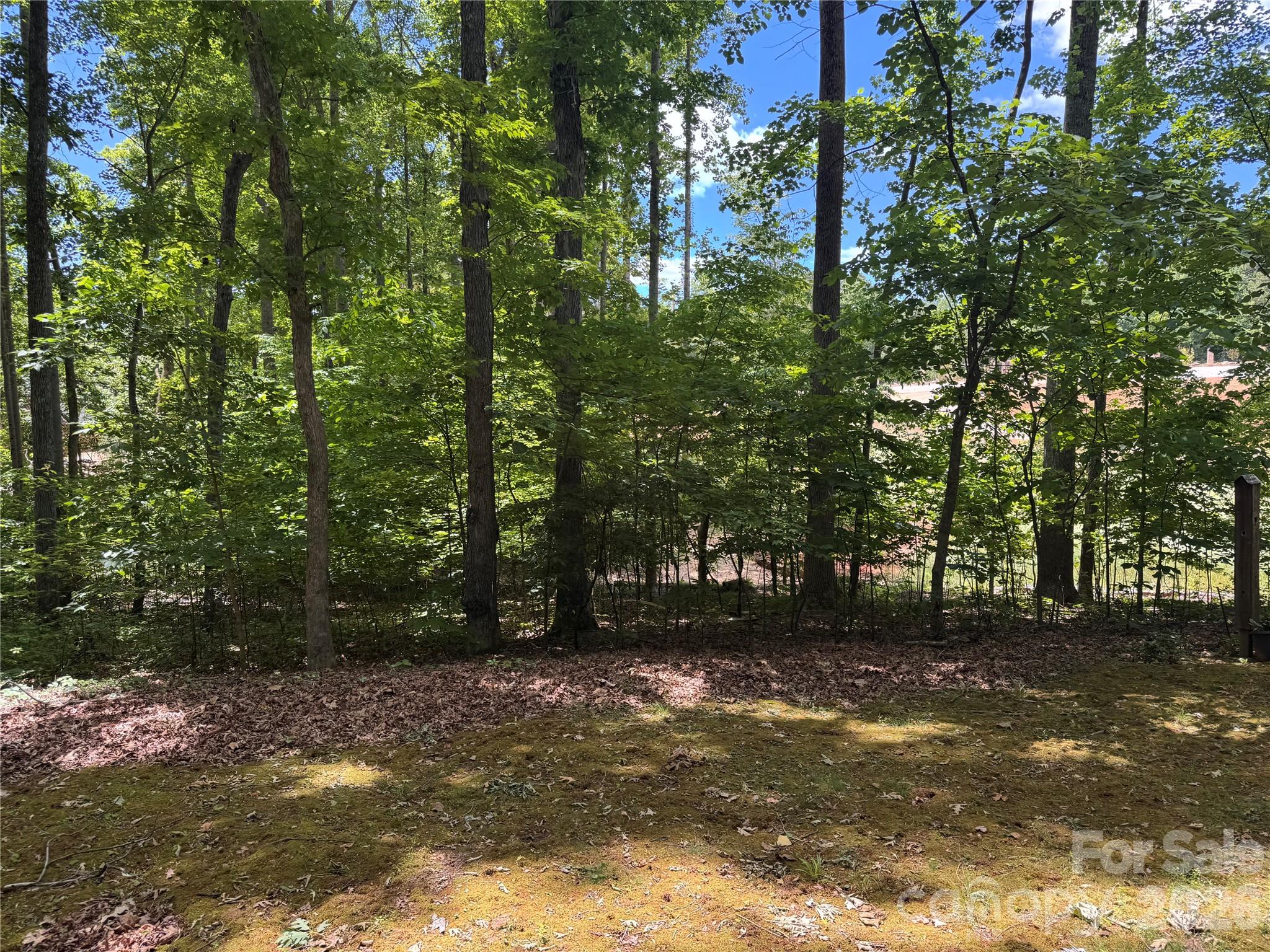 121 Shady Lane — Troutman