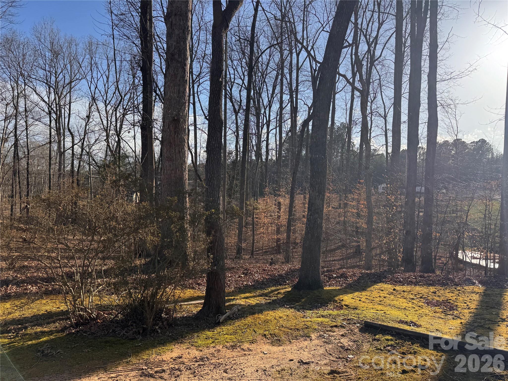 121 Shady Lane — Troutman