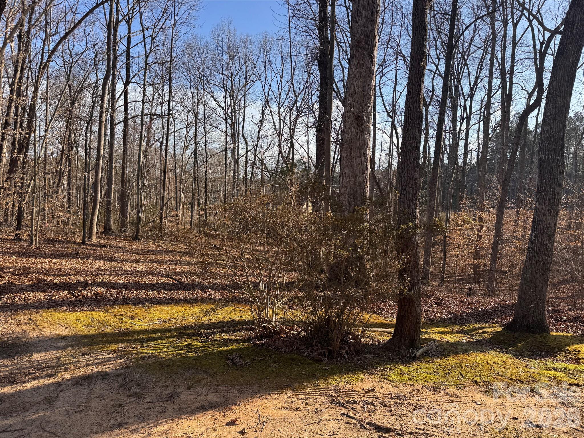 121 Shady Lane — Troutman