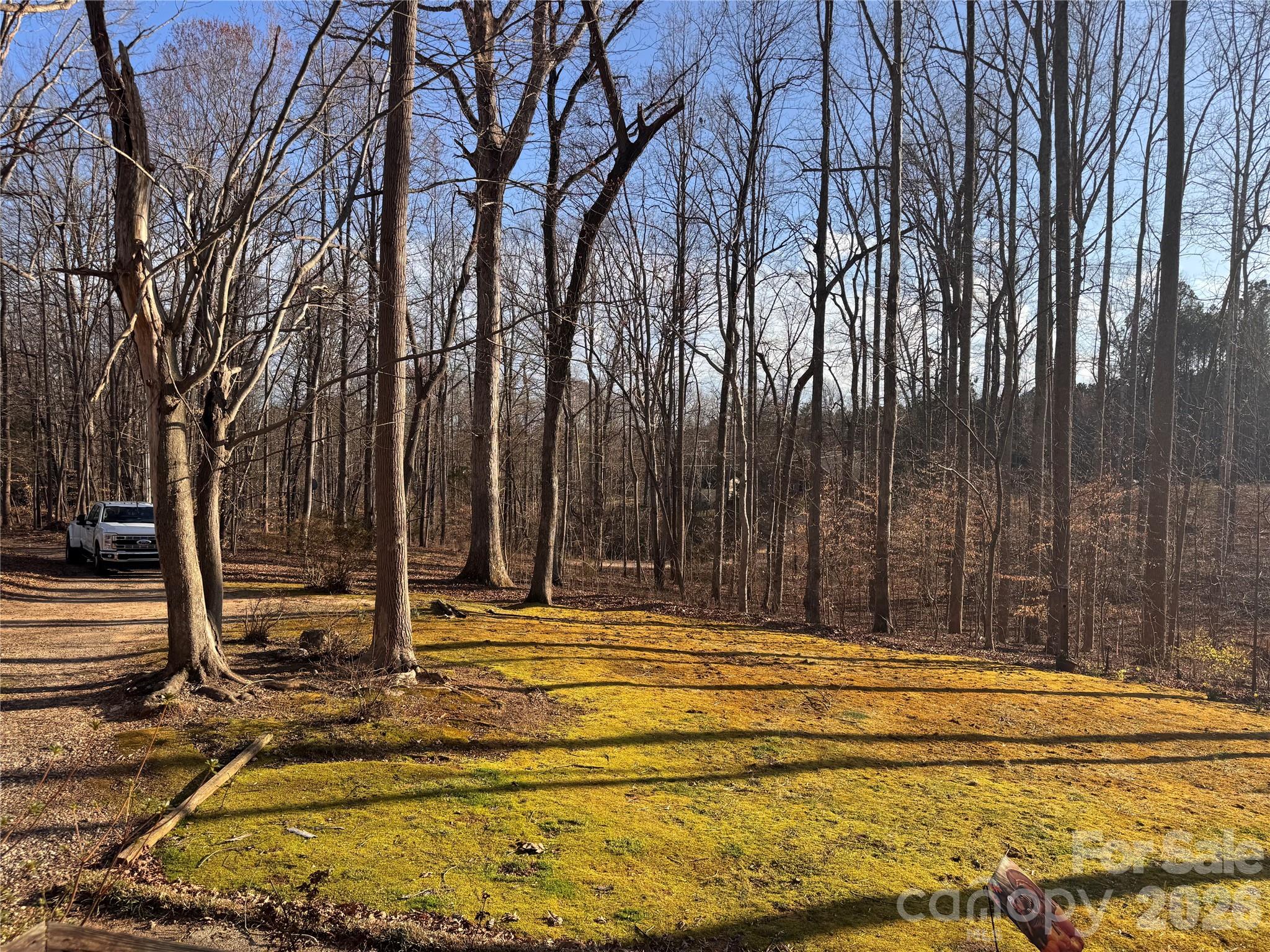 121 Shady Lane — Troutman