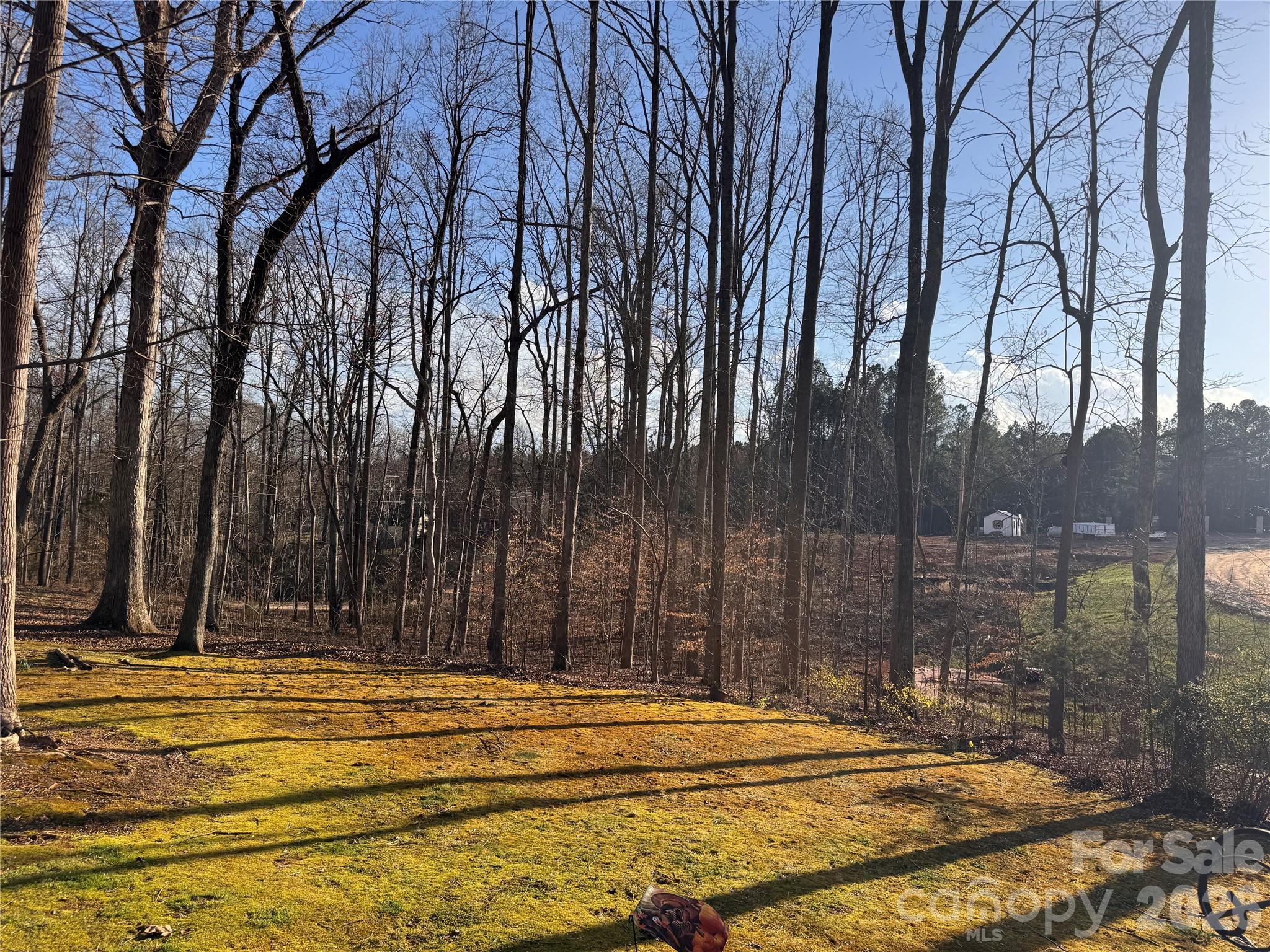 121 Shady Lane — Troutman